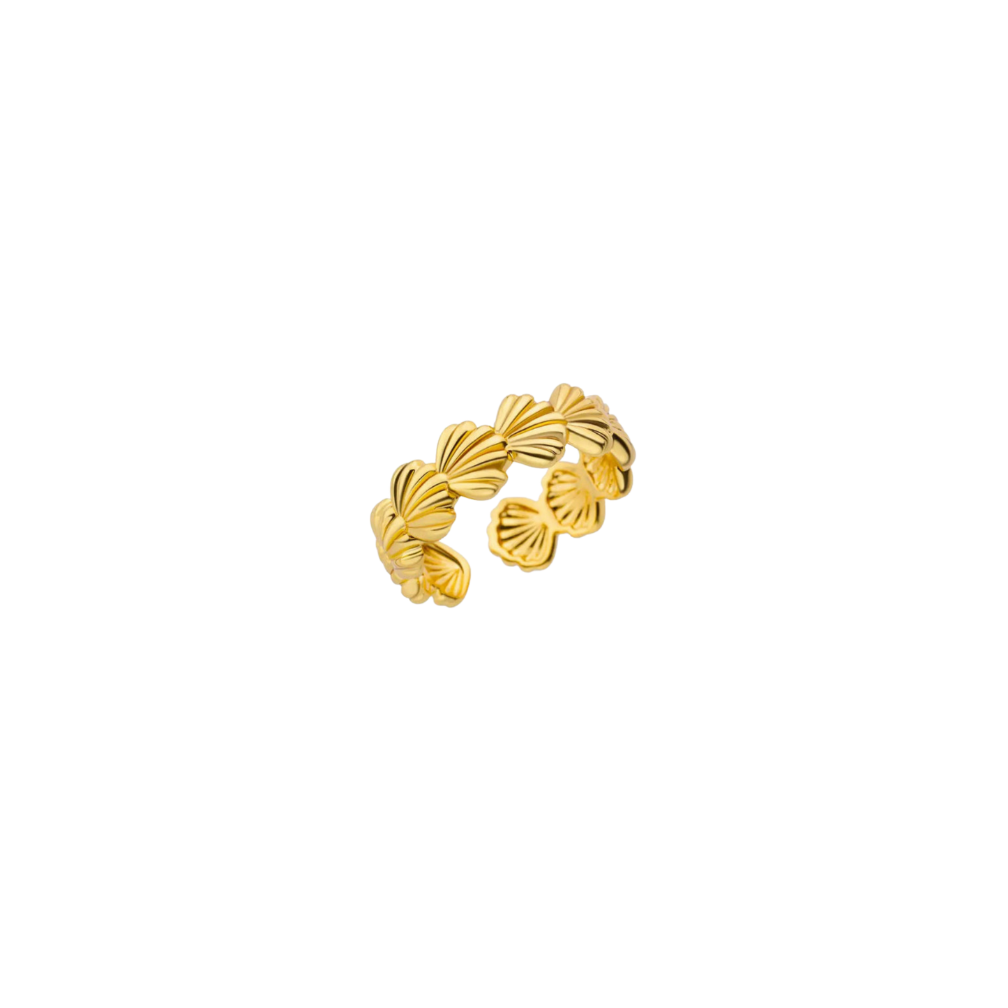 Catia ring
