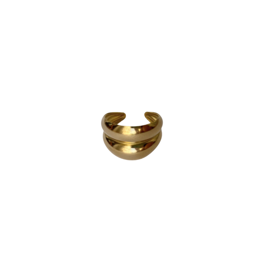 Isai rings